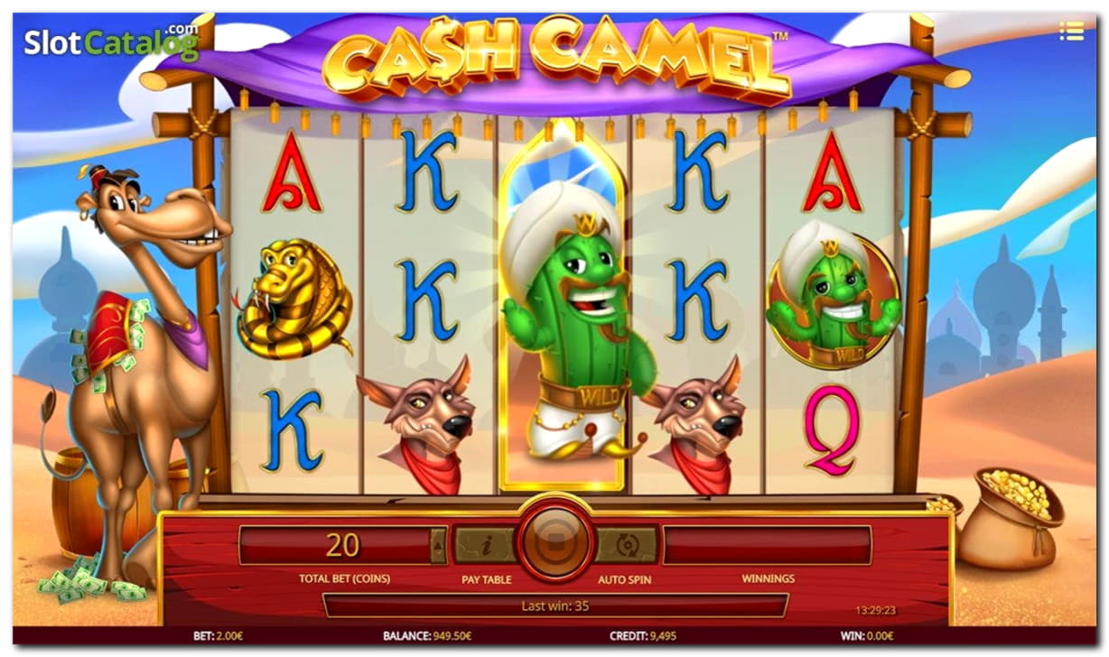 Eur 545 Free casino chip at Zet Casino